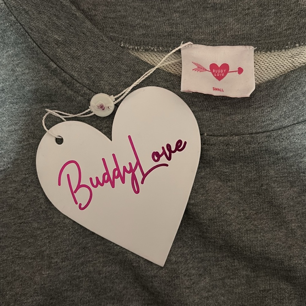 Buddy Love Willa Sweatshirt Dress in Gray SZ S NWT - Picture 5 of 6
